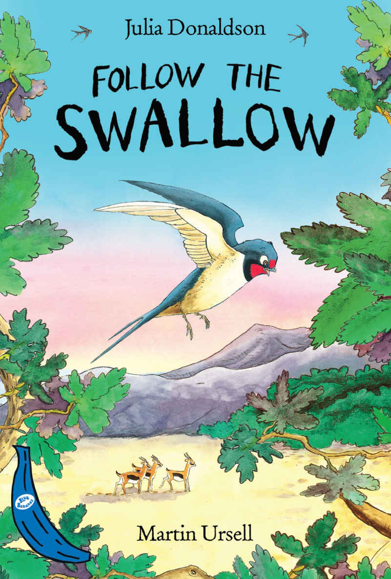 follow the swallow-91reading就要读英文