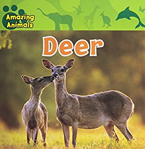 deer这本书不错哟强烈推荐