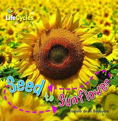 seed to sunflower-91reading就要讀英文